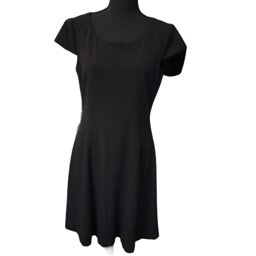 Tahari Black Princess Cut Knee length Dress Polyester Rayon Spandex Size 8